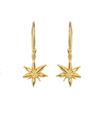 Mini Star Anise Earrings-Catherine Weitzman-Swag Designer Jewelry