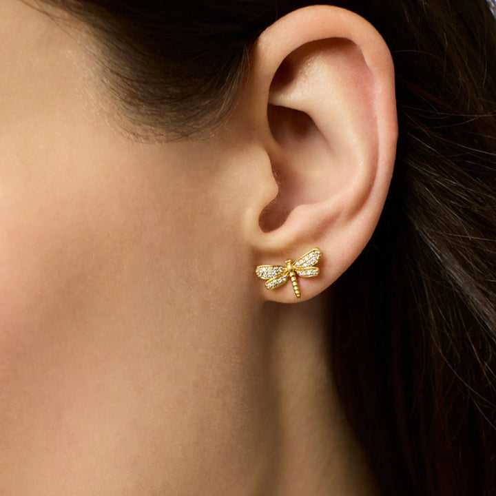 Stud Earrings
