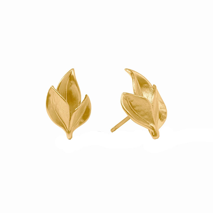 Fashion Earrings
