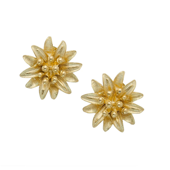 Stud Earrings

